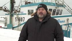 Threatened tariffs mean this N.L. crab harvester faces financial uncertainty News Clip
