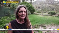 Cape Town Grapples With A Baboon Invasion News Clip