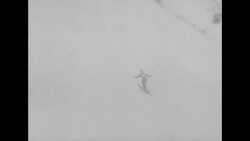 Finland's Aulis Kallakorpi wins World's Ski Meet at Garmisch-Partenkirchen, Germany News Clip