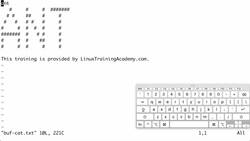 Vim Masterclass - Working with Multiple Windows Instructional Video