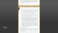 Former parliamentarians, diplomats pen letter calling for release of Huawei exec | Sunday Scrum News Clip