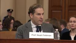 Legal scholars weigh Trump impeachment charges News Clip