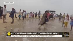 Cyclone Fengal: IMD Issues Alerts For Coastal Areas Of Tamil Nadu, Puducherry | World News | WION News Clip