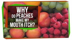 Why Do Peaches Make My Mouth Itch? Instructional Video