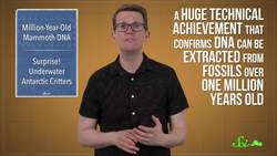 The Oldest DNA Ever Found Instructional Video