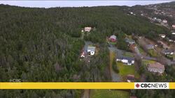 NLLANDDISPUTENOV29 News Clip