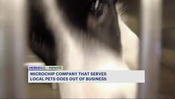 Microchipping company for pets suddenly goes out of business News Clip