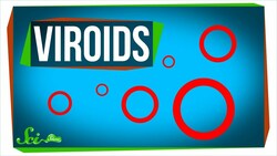 Viroids: Possibly the Smallest Pathogens on Earth Instructional Video
