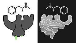 Why Some Molecules Have Evil Twins Instructional Video