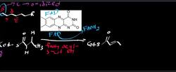Beta Oxidation 1 Instructional Video