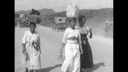 Scenes in South Korea following truce between UN and North Korea ending Korean War News Clip