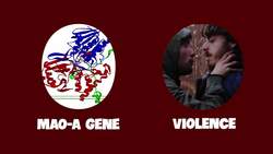 Is the Serial Killer Gene Real? Instructional Video