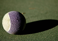 Descubre las sombras Instructional Video