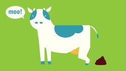 The Haber Process - the Uses of Ammonia Instructional Video