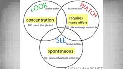 Confusing English: look vs. watch vs. see (Differenza tra LOOK, WATCH e SEE) Instructional Video