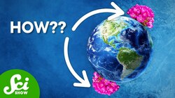 It's Weird How Many Species Live At Both Poles Instructional Video