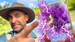 Jellyfish JOLT! Coyote's SHOCKING Experiment! Instructional Video