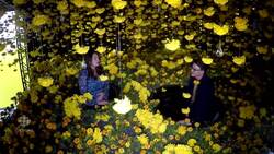 'Happy Place' exhibit hopes to have you snapping that perfect picture News Clip