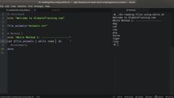 Bash Shell Scripting - Reading Files Using "while" Instructional Video