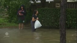 Texans pull together to aid rescue effort following Hurricane Harvey News Clip