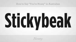 How to Say "You're Nosy" in Australian Slang Instructional Video