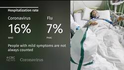 Weighing the dangers of coronavirus against the flu News Clip