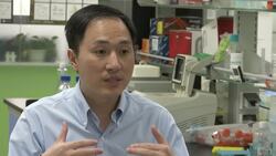 Scientist told US Nobelist about gene-editing Instructional Video