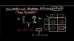 Porphobilinogen Synthase: Physiology, Biochemistry, and Organic/Inorganic Mechanism Instructional Video