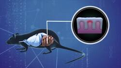 Eating certain vegetables can help prevent colon cancer Instructional Video