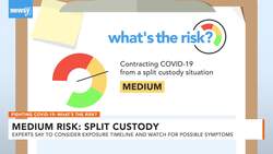 What Risk Am I, My Child At If I Share Custody? News Clip
