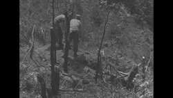 Korean War: digging foxholes News Clip