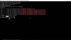 Bash Shell Scripting- One-time task execution with at | scheduling job with at command to execute once Instructional Video