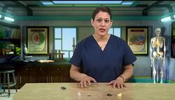 The Reveal Show: Minerals Instructional Video