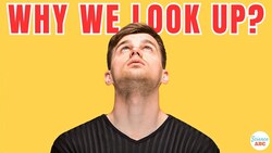 Why Do People Look Up When Thinking? Instructional Video