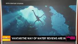 Reviews Are in for 'Avatar: The Way of Water' News Clip