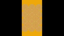 The Rotating Snakes Illusion Instructional Video