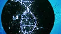 I WONDER - What Is A DNA Code? Instructional Video