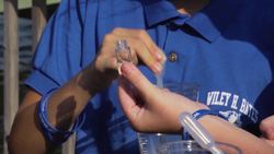 How to Measure Turbidity Instructional Video