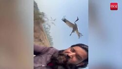 Viral video: Arif and Sarus crane's heartwarming reunion at Kanpur zoo once again, bird's reaction melts hearts News Clip