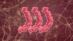 Researchers develop new method aimed at curing Alzheimer's Instructional Video