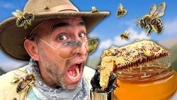 Honeycomb Heist - Will I get STUNG?! Instructional Video