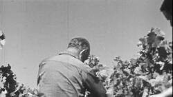 The Evolution of Hamilton's Ewell Moselle Wine Instructional Video