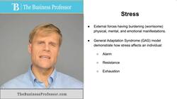 Stress (Organizational Behavior) Instructional Video