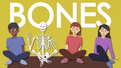 Bone structure made easy!