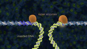 The genetic path to biodiversity - Science Nation