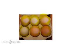 Subtracting Fractions of a Set with Like Denominators: Labeling Sets of Objects Instructional Video