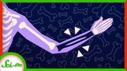 You're Losing Bones Right Now Instructional Video