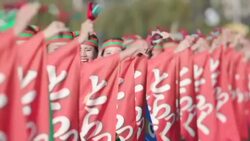 CLEAN : Tens of thousands celebrate Japan emperors enthronement News Clip