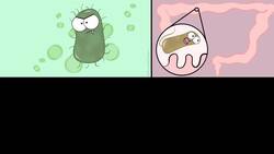 Classification Instructional Video