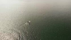 Motorboat in the Swedish archipelago Stock Footage